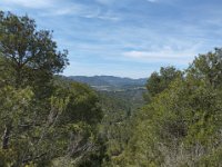 Imatge de WhatsApp 2024-05-04 a les 13.19.09 ed38f639